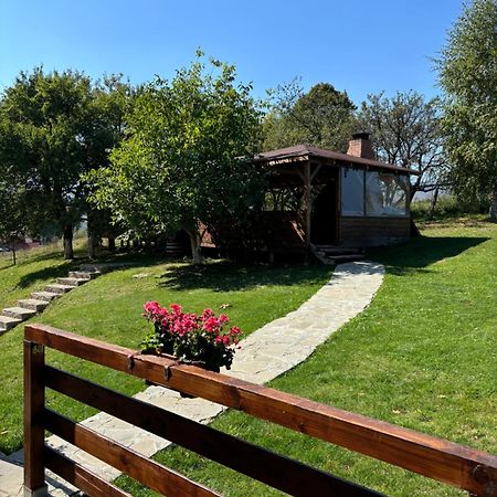 Transylvanian House Drumu Carului 외부 사진