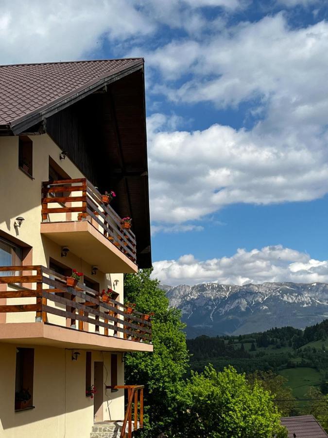 Transylvanian House Drumu Carului 외부 사진