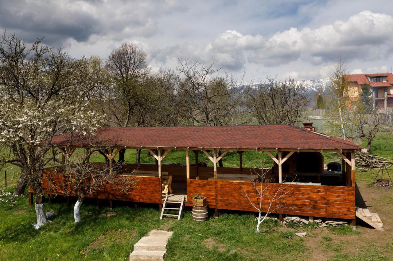 Transylvanian House Drumu Carului 외부 사진