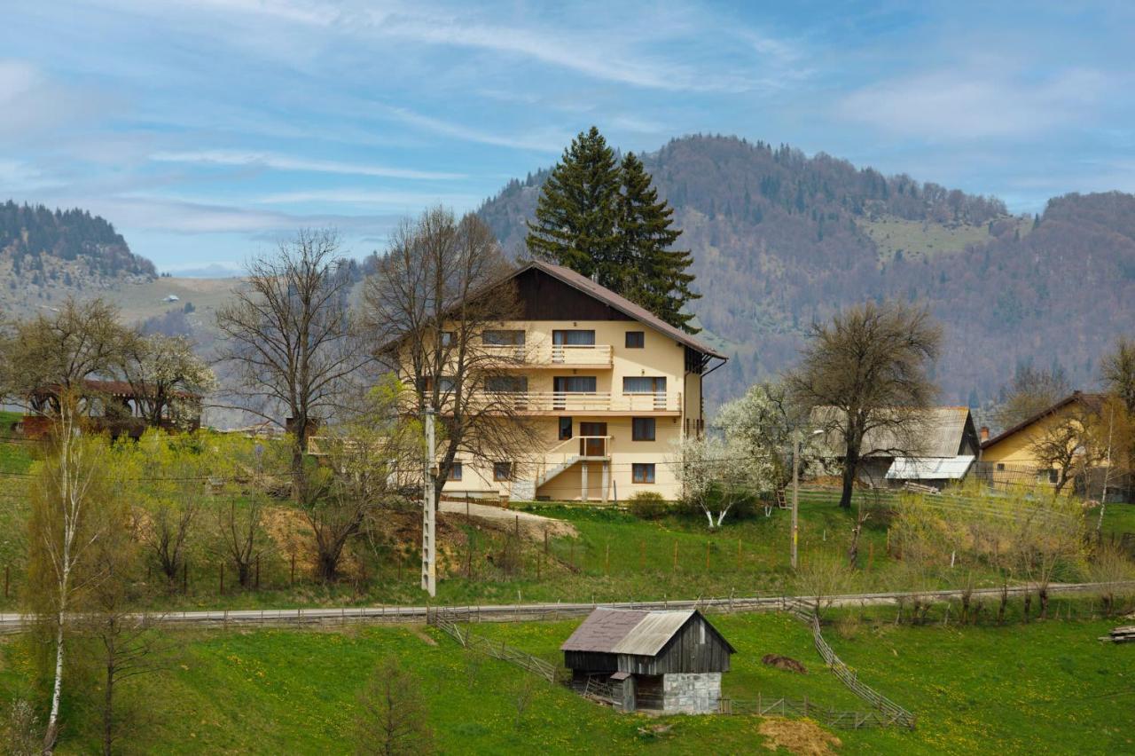 Transylvanian House Drumu Carului 외부 사진