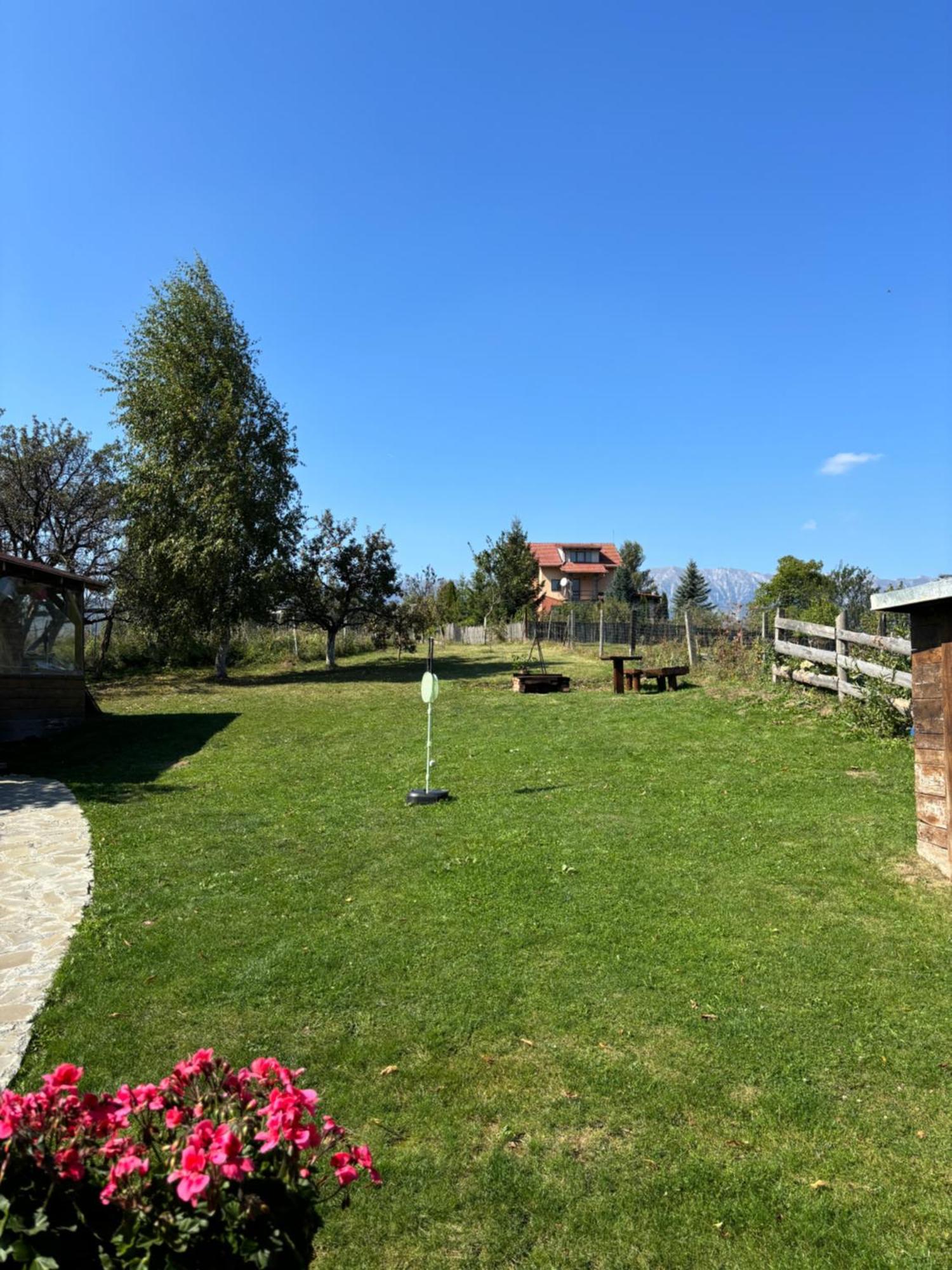 Transylvanian House Drumu Carului 외부 사진